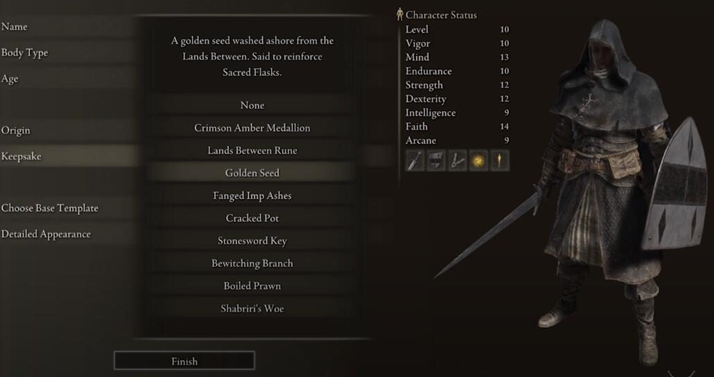 Quick Guides on Paladin Builds in Elden Ring1